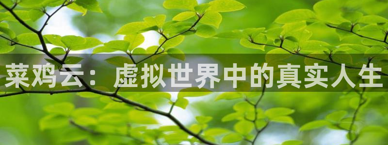 完美电竞平台能不能隐身登录：菜鸡云：虚拟世界中的真实人生