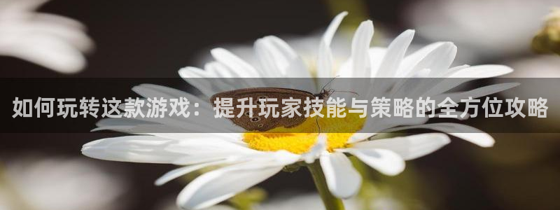  完美电竞app大会员：如何玩转这款游戏：提升玩家技能与策略的