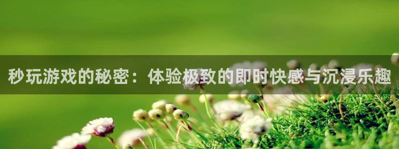  完美电竞账号登陆失败：秒玩游戏的秘密：体验极致的即时快感与沉