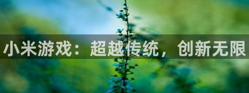 完美电竞数据打不开：小米游戏：超越传统，创新无限