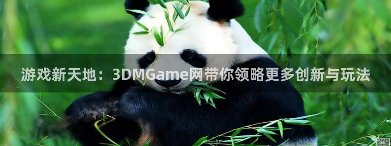  完美电竞app看库存吗：游戏新天地：3DMGame网带你领略