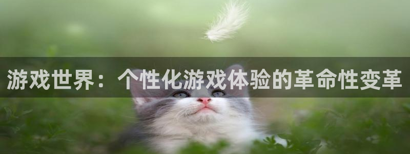 完美电竞app授权steam库存：游戏世界：个性化游戏体验的