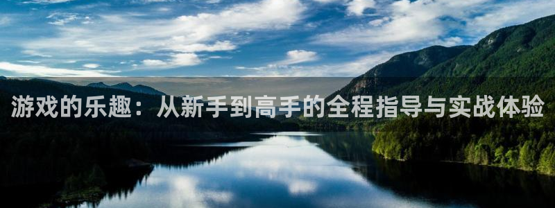 完美电竞平台哪一年：游戏的乐趣：从新手到高手的全程指导与实战